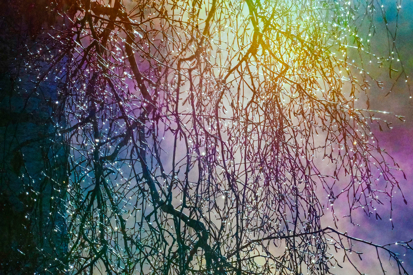 rainbow fog