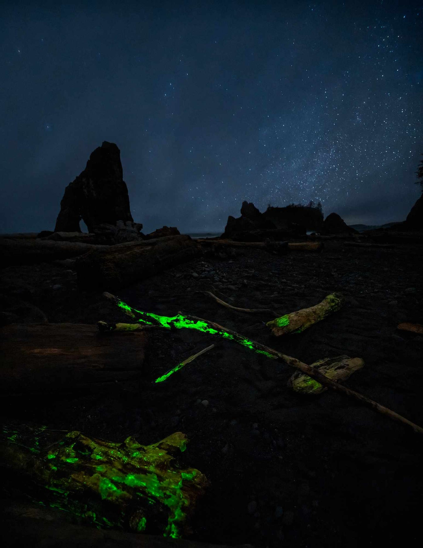 Ruby Beach Foxfire