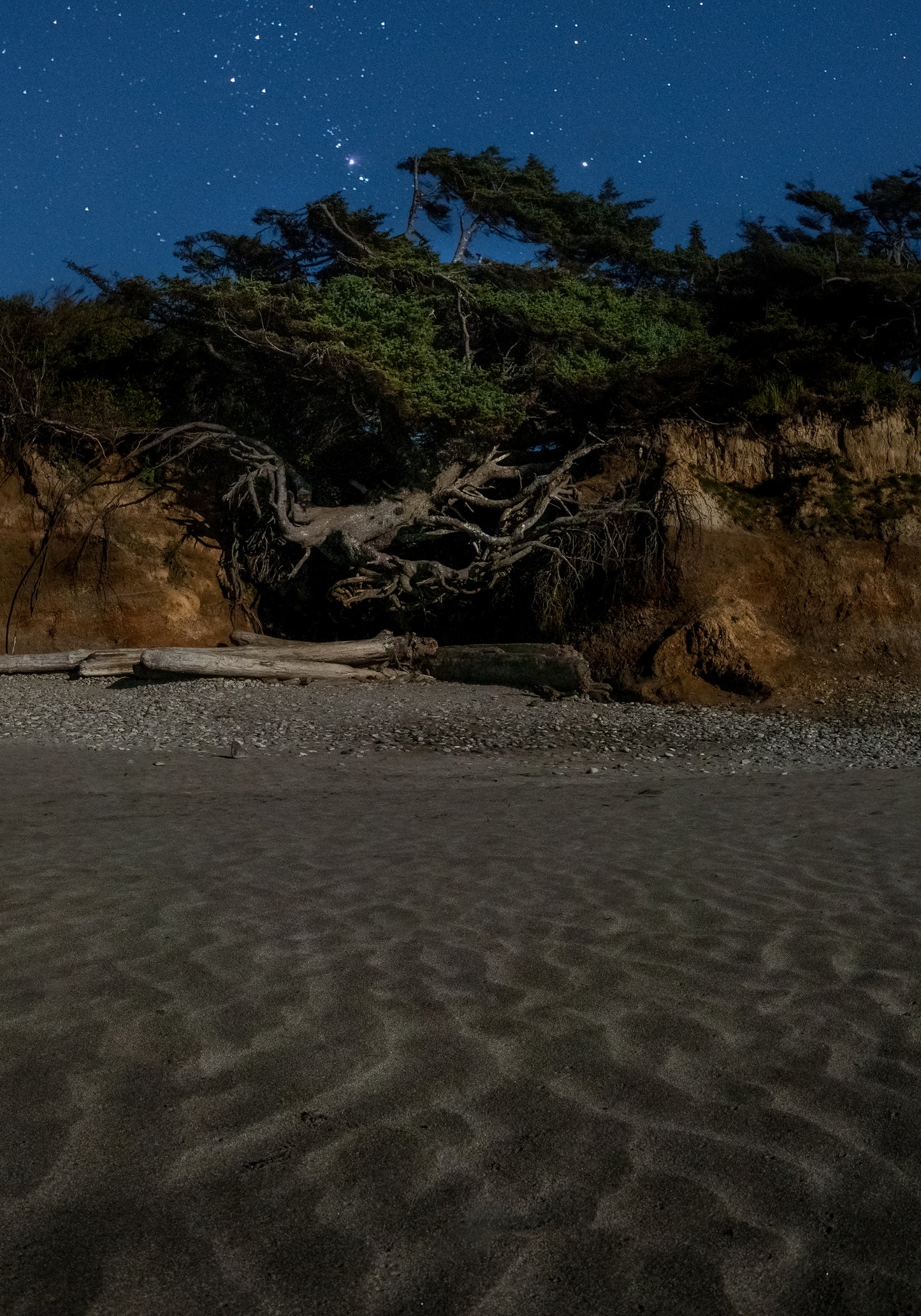 Tree of life sand