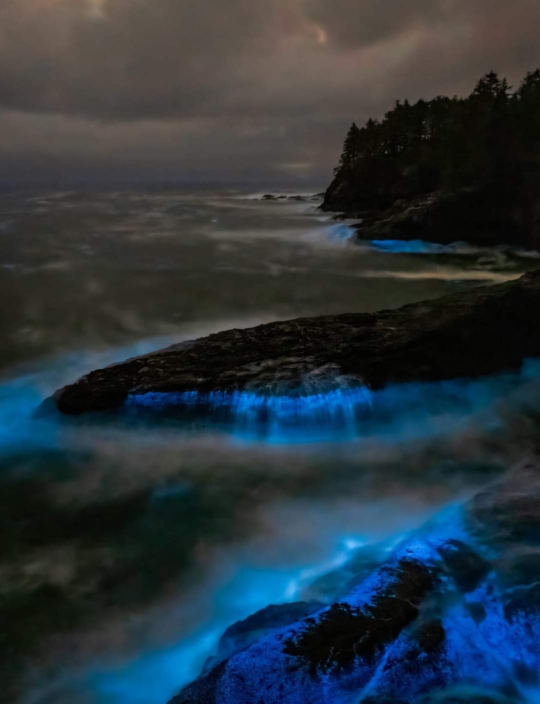 Storm Cape Flattery Bioluminescence