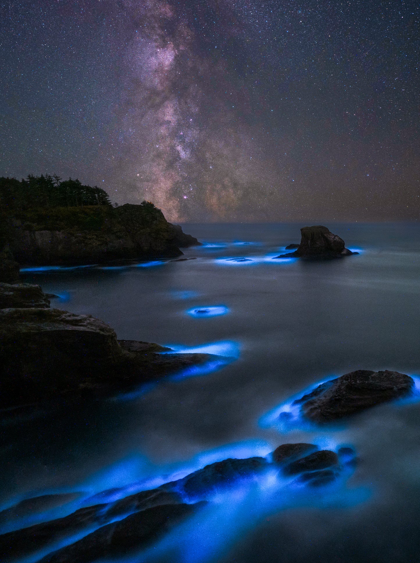 Milky Way bioluminescence